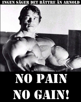 no_pain_no_gain.jpg
